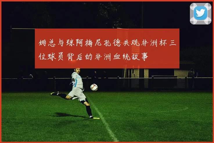 姆总与琼阿梅尼孔德共观非洲杯三位球员背后的非洲血统故事