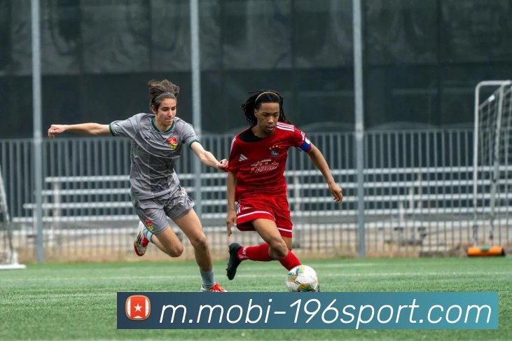 196体育品牌故事