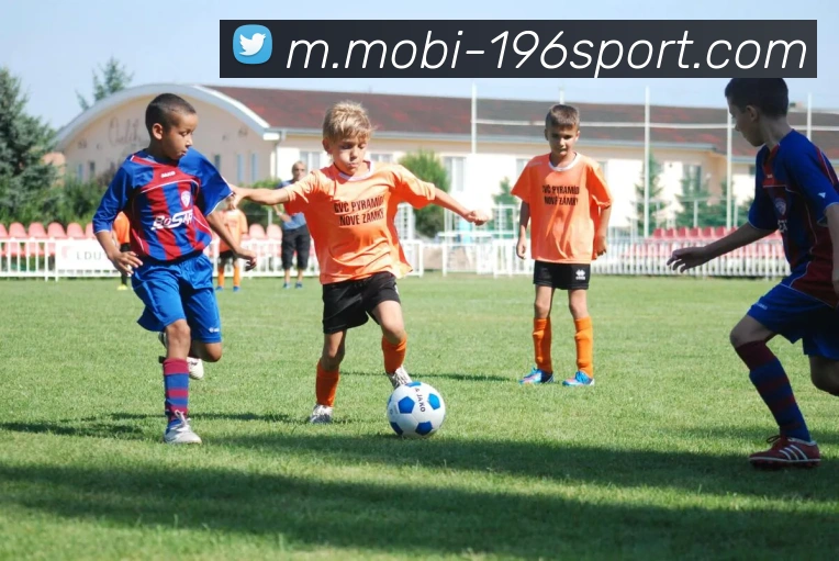 196体育服务体系